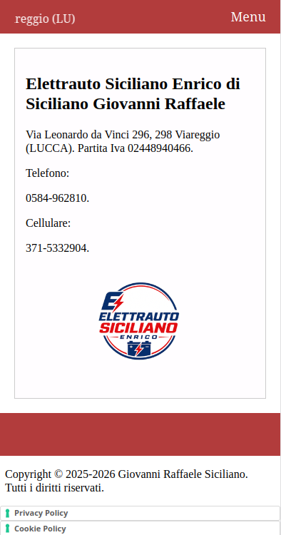 Screenshot versione mobile del sito www.elettrautosicilianoenrico.it